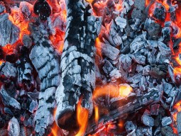 Mangal & Mangal Kömürü